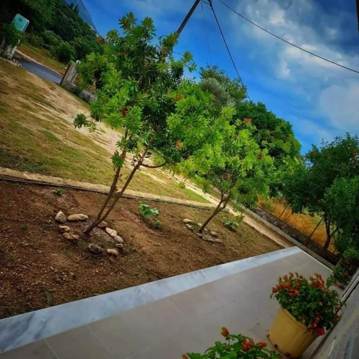 Calma Studios Parga Exterior photo